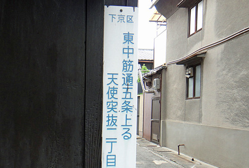431a8161.jpg