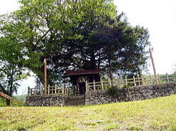 RIMG162911