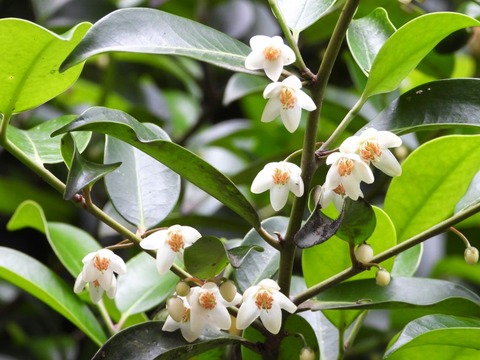 97d410183d96dc7ecd2a76d5b9d0456d