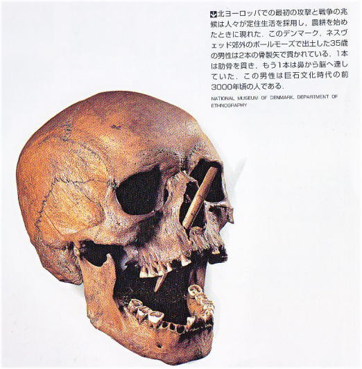 69d2644f.jpg
