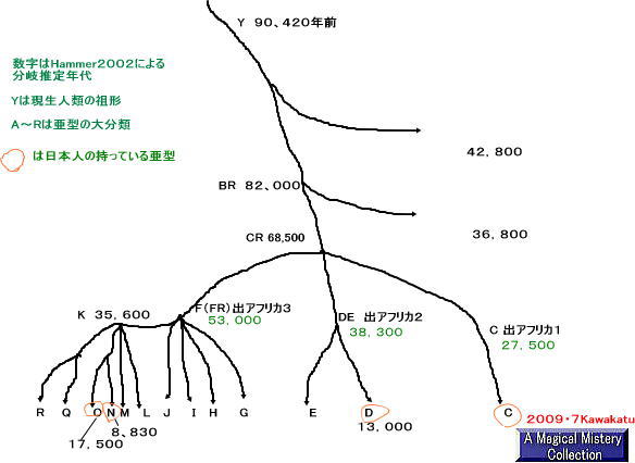 6b891396.jpg