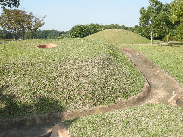 701cdc4e.jpg