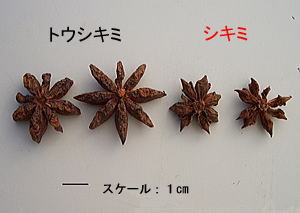 hakkaku-sikimi-3hp222