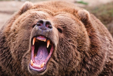 5006244caf01cc7c1512cda5787526d3_r