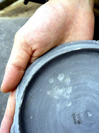 m_E78CABE8B6B3E8B7A12-57d58