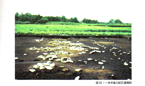 82f6652e.jpg
