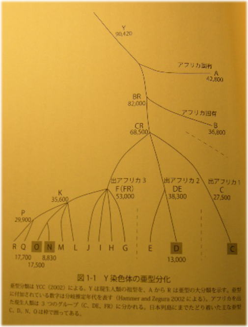 96270ab2.jpg