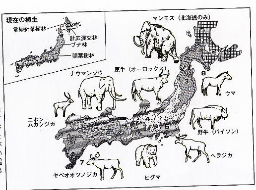 シリーズ石器時代2 石器時代の 落とし穴 遺跡 日本最古のレイアウトと線刻画 民族学伝承ひろいあげ辞典 シリーズ石器時代2 石器時代の 落とし穴 遺跡 日本最古のレイアウトと線刻画 民族学伝承ひろいあげ辞典