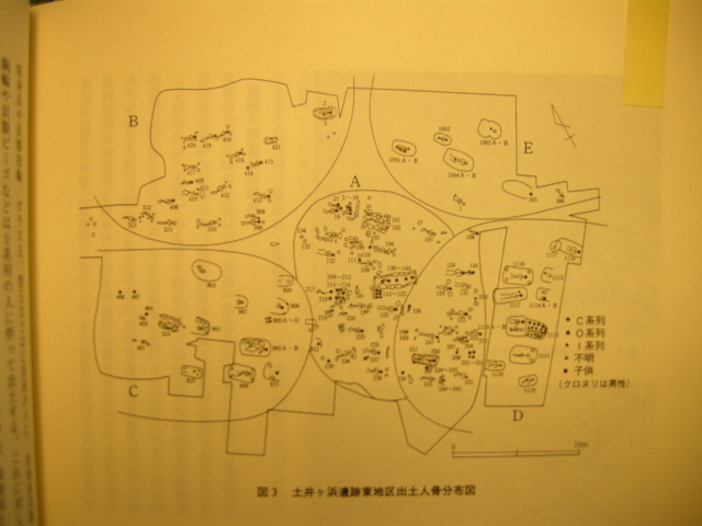 afac9011.jpg