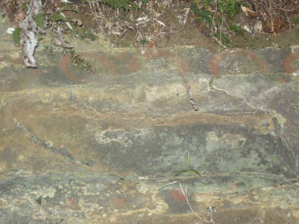 bd63449c.jpg