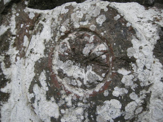 cbb22e68.jpg