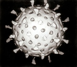 250px-Rotavirus_Reconstruction
