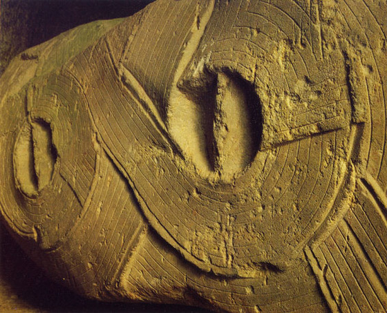 d4840188.jpg