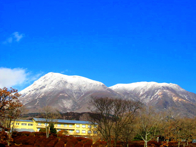 d6f60ae4.jpg