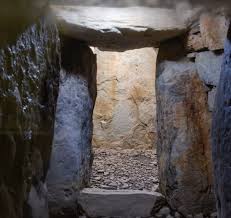 ダウンロード (2)