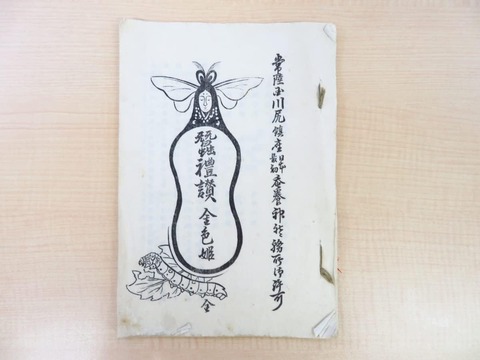 51p+chzBiUL._AC_SL1200_