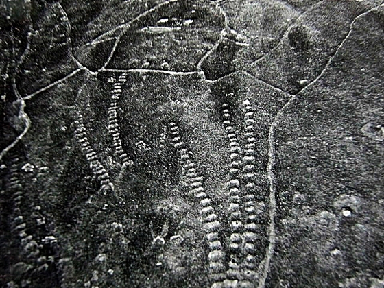f2a8b729.jpg