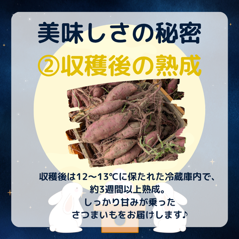 秋の収穫祭第1弾_4