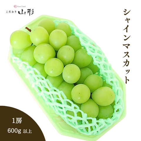 shin_1_4