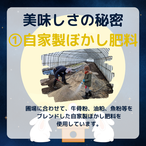秋の収穫祭第1弾_3