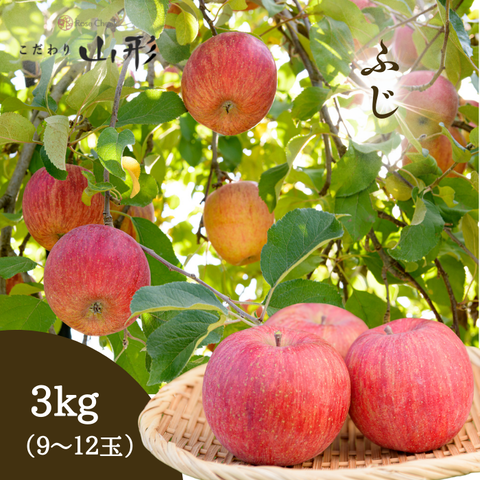 fuji_1