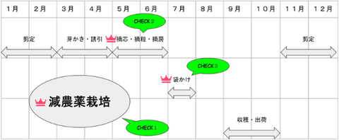 budo_3
