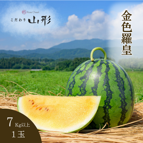 金色7キロ