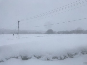 雪