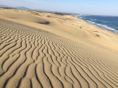 IMG_4389