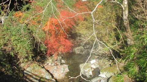 IMG_5126_A_新極楽橋の川