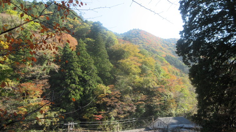 IMG_5139_A_紅葉と駅