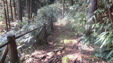 IMG_5163_A_万丈転の道