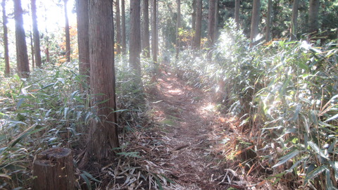 IMG_5166_A_笹の道