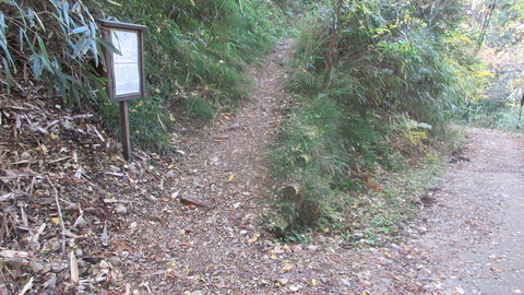 IMG_5147_A_いろは坂の入口