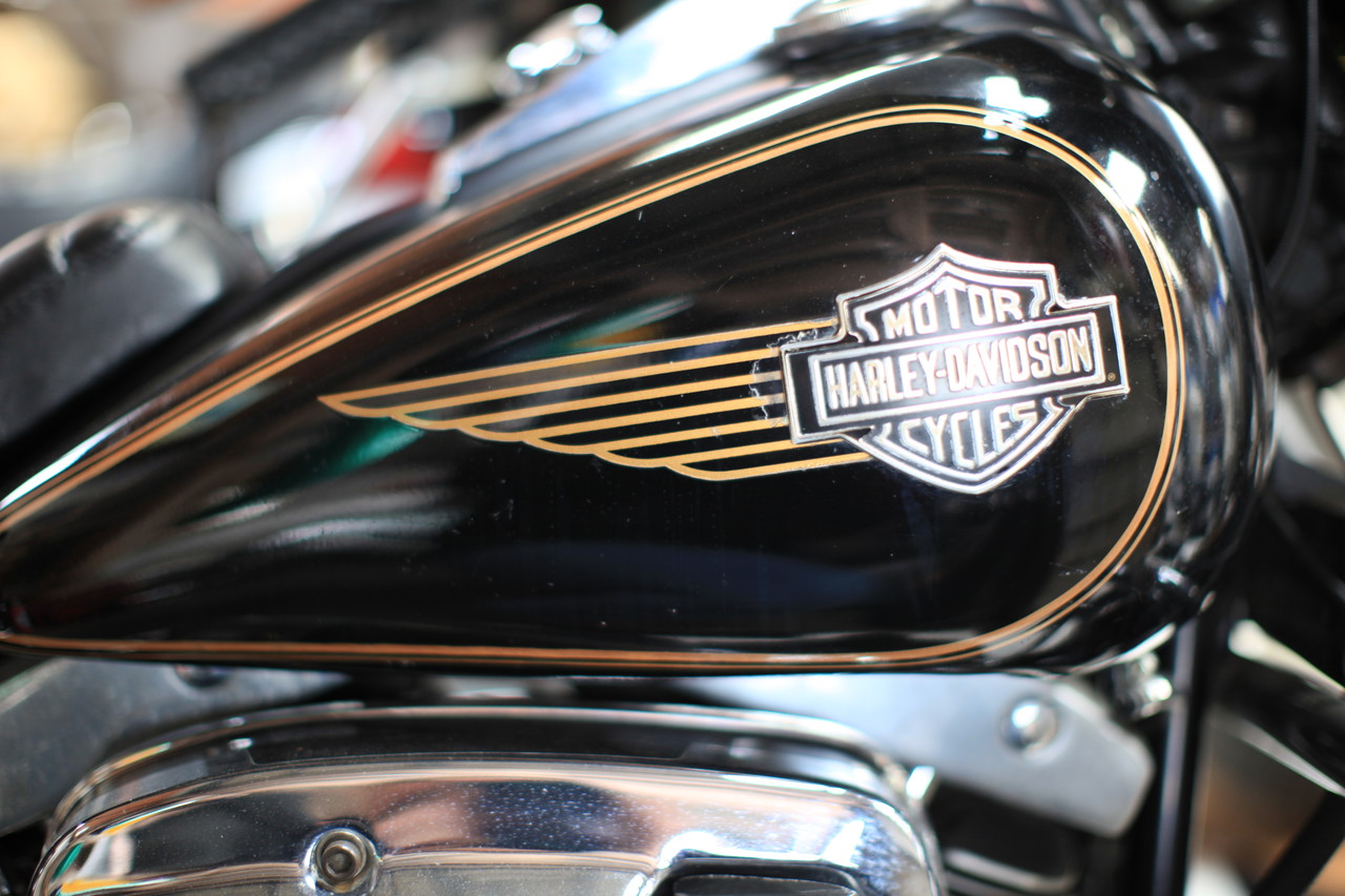 AMF暗黒の時代 : 鼓動館ブログ