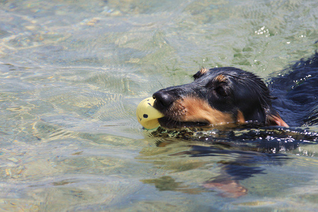 resize6436