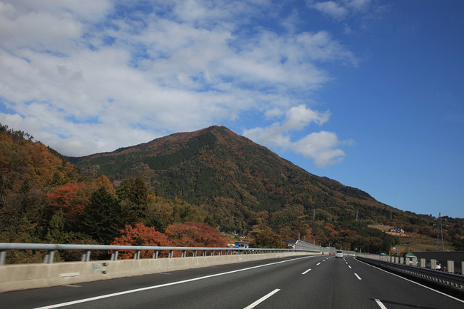 resize7388
