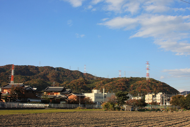 resize7488