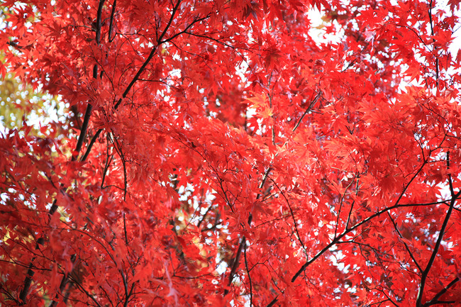 resize7461