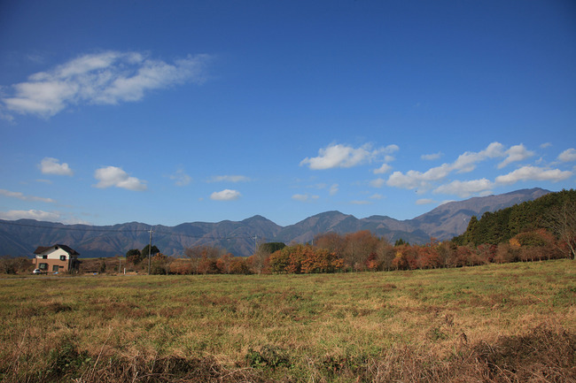 resize7391