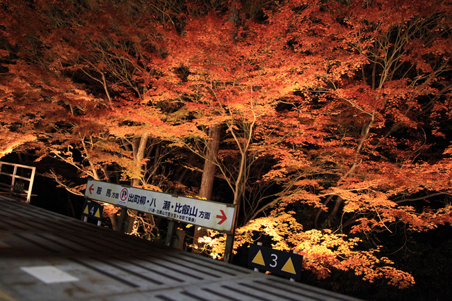 resize7498