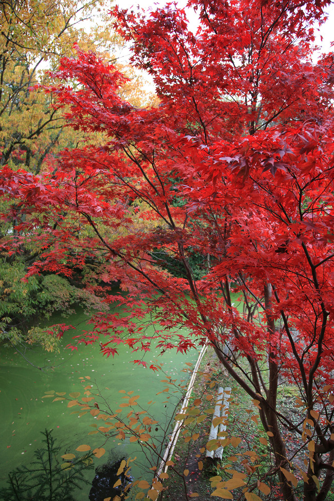 resize7458