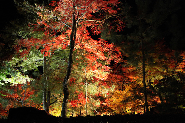 resize7474
