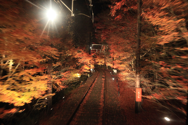 resize7501