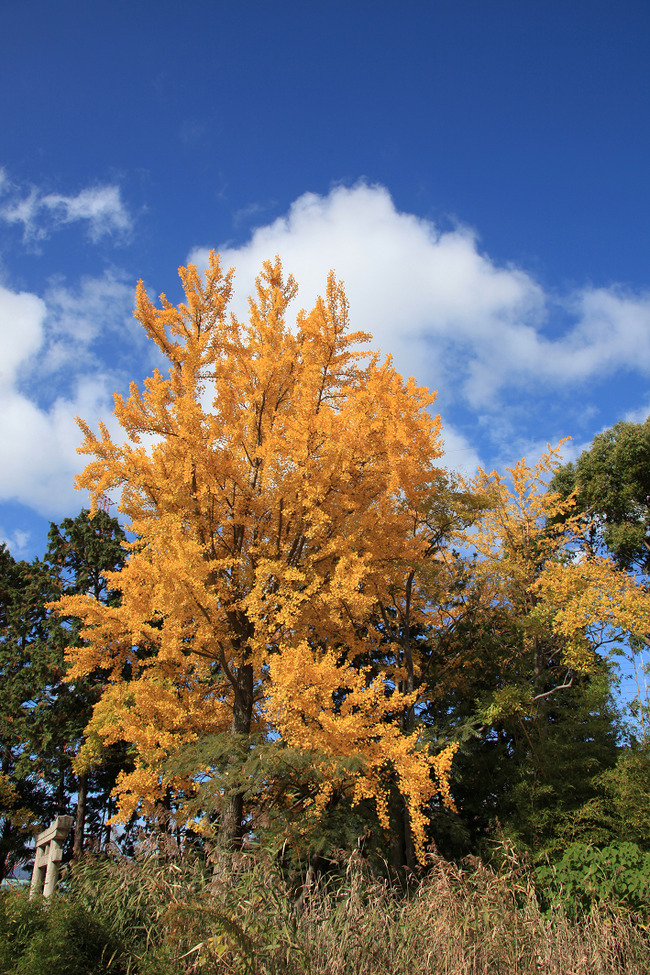 resize7419