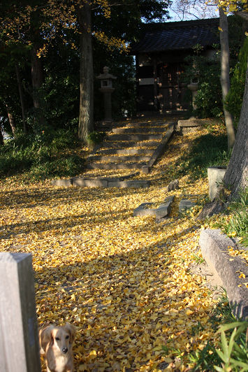 resize7486