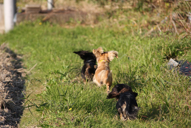 resize7485