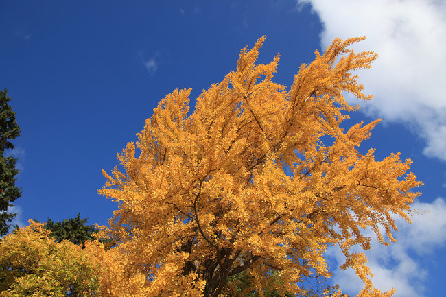 resize7421