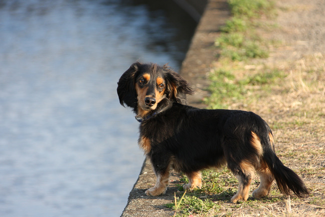 resize7489