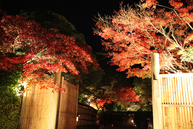 resize7475